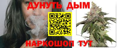 хмурый Гатчина