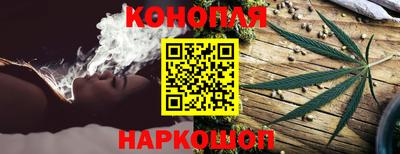 мяу мяу мука Гай